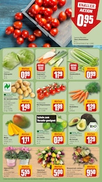 Limetten Angebot im aktuellen REWE Prospekt auf Seite 5