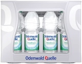 Mineralwasser im Angebot bei REWE in Heidelberg Mineralwasser Angebote von Odenwald Quelle bei REWE Heidelberg für 5,99 €