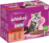 Katzen Nassnahrung von Whiskas im aktuellen EDEKA Prospekt