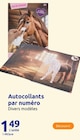 Autocollants par numéro Horse Friends dans le catalogue Action