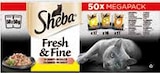 Fresh & Fine Katzennassnahrung von Sheba für 14,99 € bei Netto mit dem Scottie im Angebot Fresh & Fine Katzennassnahrung von Sheba im aktuellen Netto mit dem Scottie Prospekt