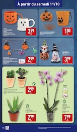Offre Orchidée dans le catalogue Aldi du moment à la page 50