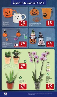 Promo Cactus dans le catalogue Aldi du moment à la page 50