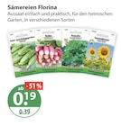 Salat- und Einlegegurken Angebote von Florina bei V-Markt Kempten für 0,19 €