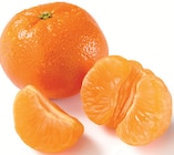 Lidl - Mandarinen/Clementinen Angebot im Prospekt Mandarinen/Clementinen bei Lidl im Prospekt "" für 1,69 €