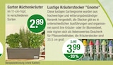 Garten Küchenkräuter für 2,89 € bei V-Markt im Angebot Garten Küchenkräuter im aktuellen V-Markt Prospekt