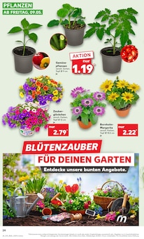 Salat Angebot im Kaufland Prospekt, gültig von 08.05.2025 bis 14.05.2025 Salat Angebot im aktuellen Kaufland Prospekt auf Seite 24