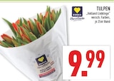 Aktuelles Tulpen 'Holland Lieblinge' Angebot bei Marktkauf in Leverkusen ab 9,99 €