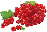 REWE - Rote Johannisbeeren Angebot im Prospekt Rote Johannisbeeren bei REWE im Prospekt "" für 2,22 €