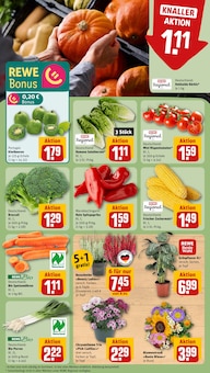 Blumen im aktuellen REWE Prospekt (Stuttgart) Blumen im REWE Prospekt "Dein Markt" mit 28 Seiten (Stuttgart)