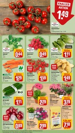Blumenerde im REWE Prospekt in Cottbus Aktueller REWE Prospekt mit Blumenerde, "Dein Markt", Seite 7