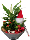 Weihnachtliches Arrangement "X-Mas" im Angebot bei Hornbach in Konz Weihnachtliches Arrangement "X-Mas" Angebote bei Hornbach Konz für 12,95 €