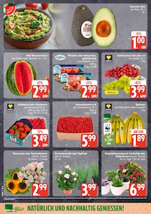 Blumen im EDEKA Prospekt "Top Angebote" mit 24 Seiten (Hamburg)
