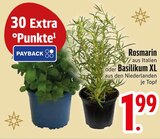 Rosmarin im EDEKA Prospekt Rosmarin von im aktuellen EDEKA Prospekt für 1,99 €