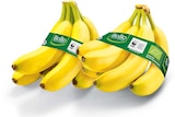 Bio Bananen von BioBio für 1,69 € bei Netto Marken-Discount im Angebot Bio Bananen von BioBio im aktuellen Netto Marken-Discount Prospekt