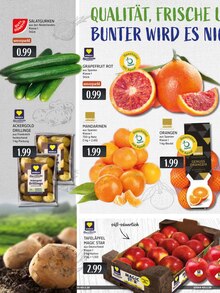 Fernseher im EDEKA Prospekt "Aktuelle Angebote" mit 16 Seiten (Ratingen)