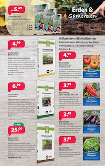 Gartenerde im Kiebitzmarkt Prospekt "Es geht wieder los. Die Anzucht beginnt!" mit 8 Seiten (Cottbus)