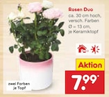 Rosen Duo  im aktuellen Netto Marken-Discount Prospekt für 7,99 €