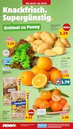 Raclette Angebot im aktuellen Penny Prospekt auf Seite 6