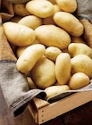 Pomme de terre de consommation nouvelle récolte - ITM TERROIRS en promo chez Intermarché Pomme de terre de consommation nouvelle récolte - ITM TERROIRS dans le catalogue Intermarché