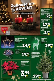 Gartendeko Angebot im aktuellen Globus-Baumarkt Prospekt auf Seite 2