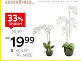 Kunstpflanze „Orchidee“ Angebote von Ambia Home bei XXXLutz Möbelhäuser Bremen für 19,99 €