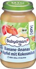 Bio Guten Abend Brei oder Frucht- und Joghurtgläschen von Babydream im aktuellen Rossmann Prospekt für 0,79 €