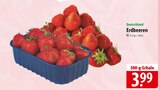 Erdbeeren im Angebot bei famila Nordost in Neustadt Erdbeeren Angebote bei famila Nordost Neustadt für 3,99 €
