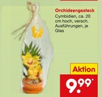 Aktuelle Zimmerpflanzen Angebote bei Netto Marken-Discount in Duisburg Aktuelles Orchideengesteck Angebot bei Netto Marken-Discount in Duisburg ab 9,99 €