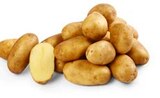 Deutsche Kartoffeln bei Penny-Markt im Prospekt "" für 1,79 €