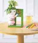 Kalanchoe Figurine Professeur en promo chez U Express Reims à 6,99 €