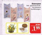 Blumensamen Angebote bei Marktkauf Coburg für 1,99 €