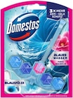 WC-Stein Power 5 Angebote von Domestos bei Kaufland Bocholt für 1,11 €