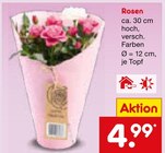 Rosen im aktuellen Netto Marken-Discount Prospekt für 4,99 €
