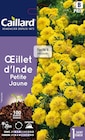 Promo 3 + 1 offert(s) sur la gamme de semences Caillard à  dans le catalogue Jardiland à Lécousse