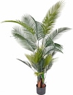 XXL-Kunstpflanze Palme für 49,99 € bei ROLLER im Angebot XXL-Kunstpflanze Palme im aktuellen ROLLER Prospekt