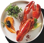 Aktuelles MSC Ganzer Hummer Angebot bei Lidl in Essen ab 8,99 €