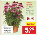 Aktuelles Sommerstauden Angebot bei Netto Marken-Discount in Erlangen ab 5,99 €