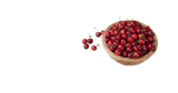 Kirschen im tegut Prospekt Kirschen von im aktuellen tegut Prospekt für 0,79 €