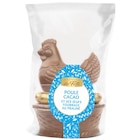 Poule cacao au lait et ses oeufs fourrés - ESPRIT DE FÊTE - Carrefour à Ermont Poule cacao au lait et ses oeufs fourrés - ESPRIT DE FÊTE en promo chez Carrefour Ermont à 3,89 €
