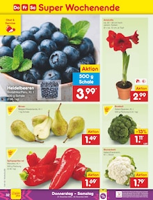 Pflanzen im Netto Marken-Discount Prospekt "Aktuelle Angebote" mit 56 Seiten (Ludwigshafen (Rhein))