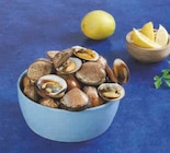 Promo Amandes de mer à 1,95 € dans le catalogue Super U à Carquefou