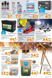 Partyzelt im Globus-Baumarkt Prospekt in Bensheim Aktueller Globus-Baumarkt Prospekt mit Partyzelt, "Immer eine Idee besser", Seite 9