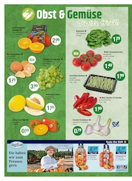 V-Markt Bio Weintrauben im Prospekt 