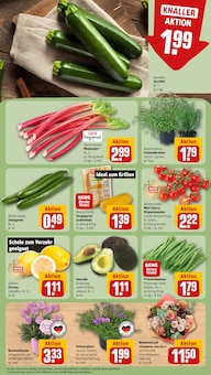 Tomaten im REWE Prospekt "Dein Markt" mit 20 Seiten (Heidelberg)