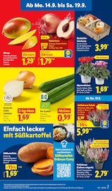 Ähnliche Balkonpflanzen Angebote im Prospekt "LIDL LOHNT SICH" von Lidl in Hemer Ähnliche Angebote wie Balkonpflanzen im Prospekt "LIDL LOHNT SICH" auf Seite 7 von Lidl in Hemer