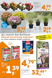 Globus-Baumarkt Schellweiler Prospekt der aktuellen Woche, gültig von 27.07.2025 bis 02.08.2025 Aktueller Globus-Baumarkt Schellweiler Prospekt "Immer eine Idee besser" mit 10 Seiten