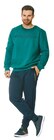 Sweatshirt oder Jogginghose Angebote von REDGREEN bei Netto mit dem Scottie Potsdam für 13,99 €