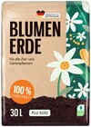 Blumenerde im Angebot bei REWE in Reutlingen Blumenerde Angebote bei REWE Reutlingen für 2,99 €