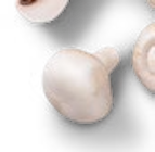 Kaufland Mühlhausen - Poln./kroat. Kulturchampignons, weiß Angebot im Prospekt Poln./kroat. Kulturchampignons, weiß bei Kaufland im Mühlhausen Prospekt für 1,00 €